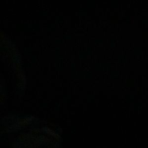 Meet your Posher, Pierre